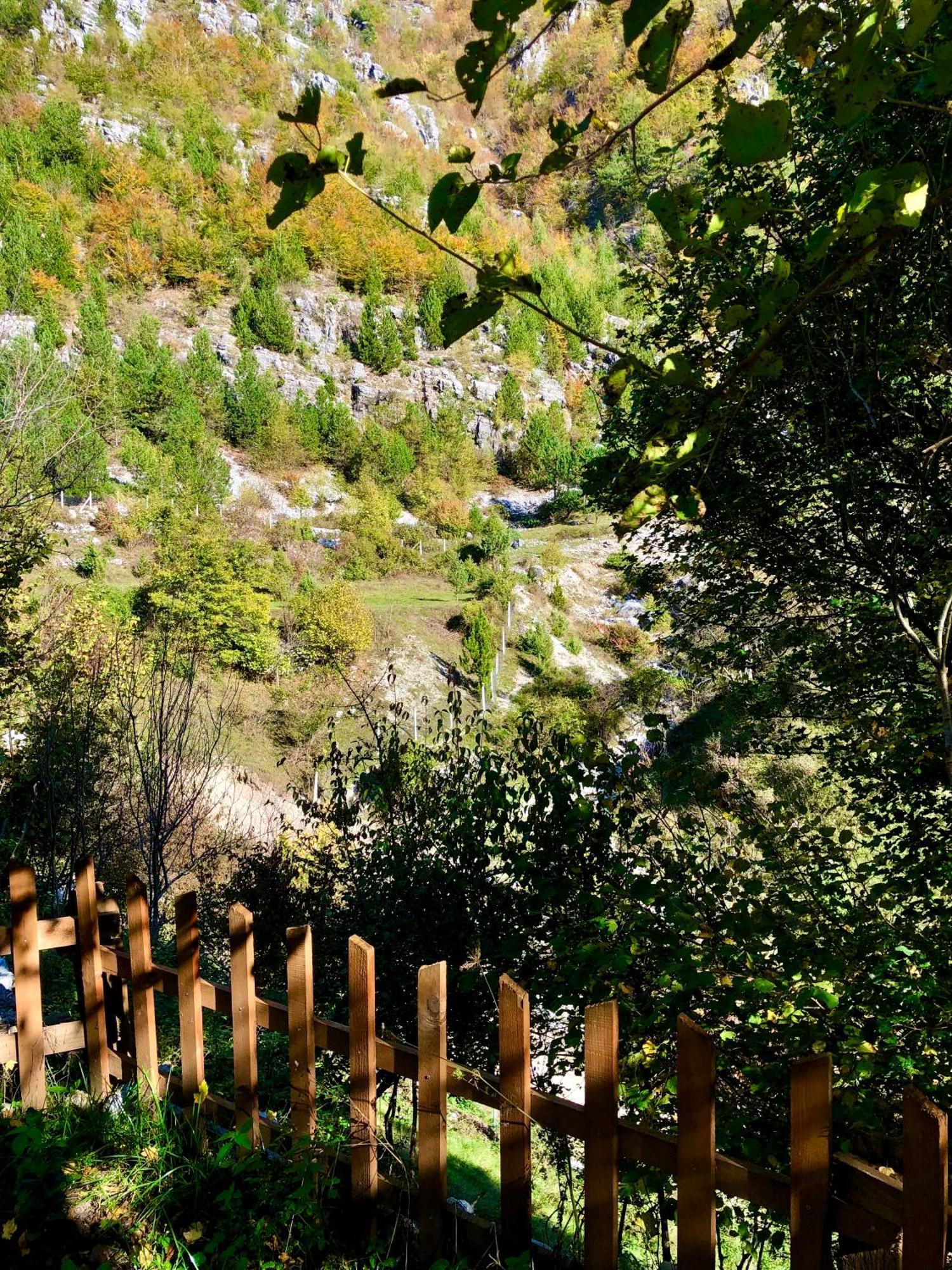 Bed and Breakfast Bujtina Pllumi Theth Exterior foto